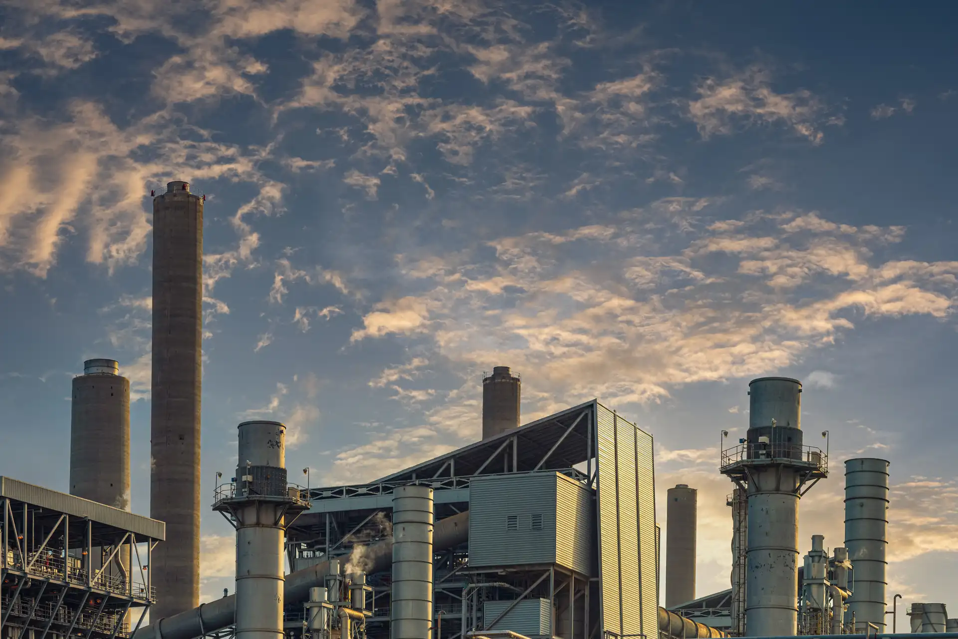 Produkcja i przetwórstwo